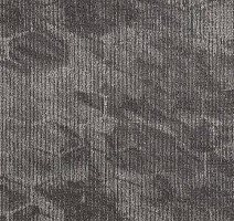 Ковровая плитка Balance Spectrum Balance Spectrum 01 фото 1 | FLOORDEALER